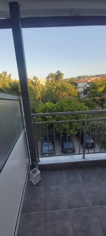 Vila Greco Furs thumbnail 27