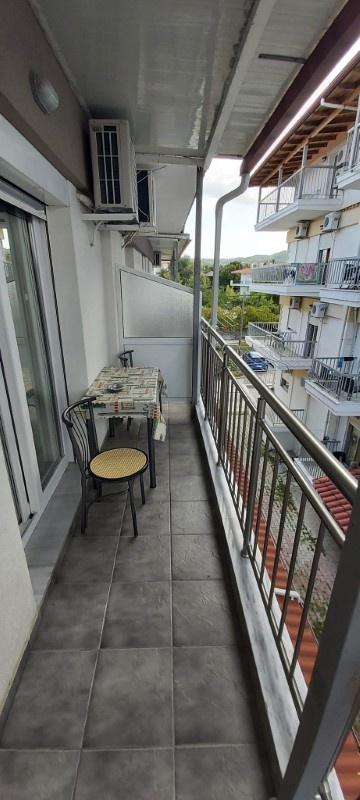 Vila Greco Furs thumbnail 29