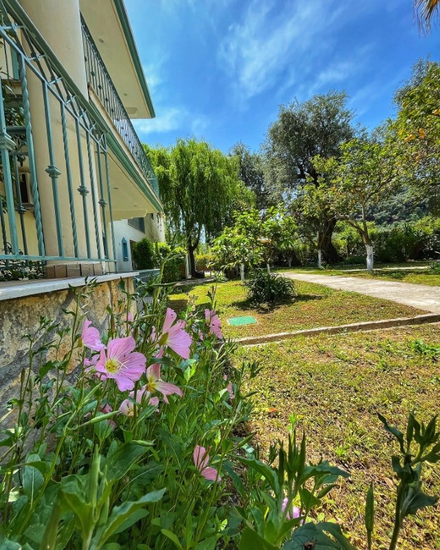 Vila Harmony Garden thumbnail 11