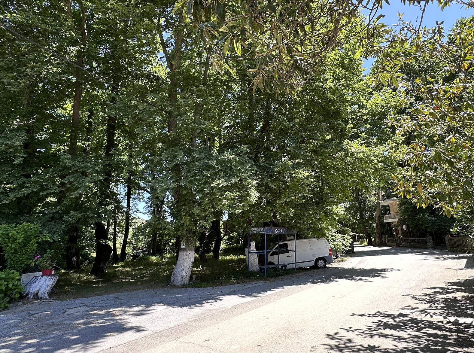 Vila Homes thumbnail 6