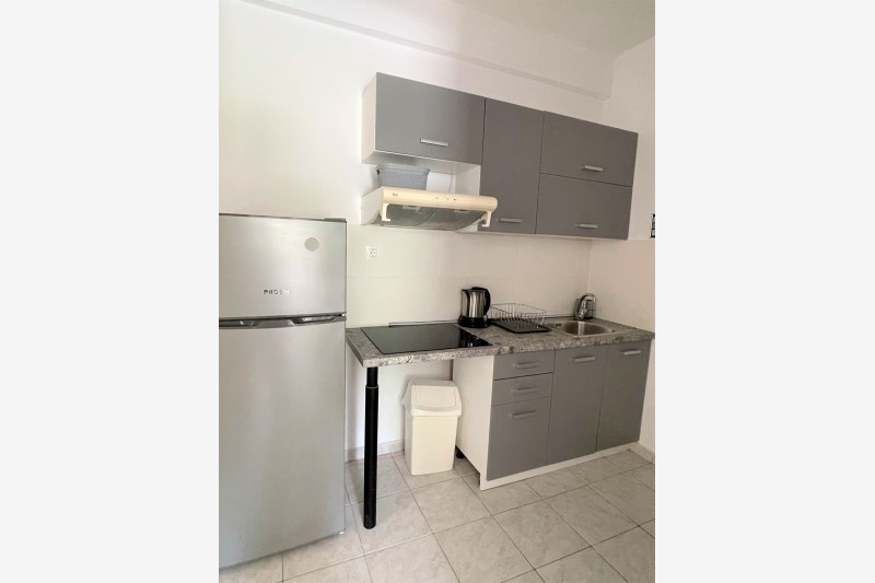 Vila Hrisa thumbnail 12