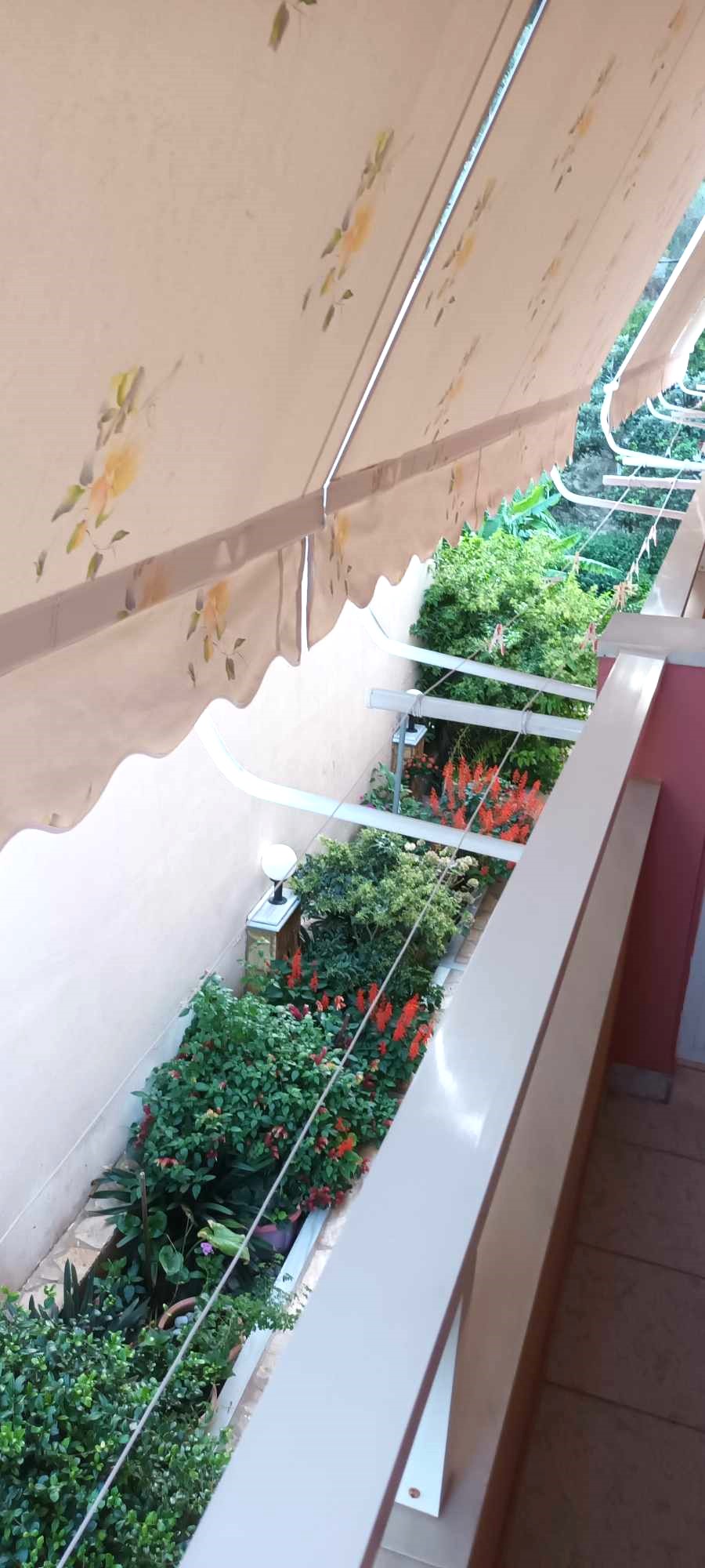 Vila Ira thumbnail 23