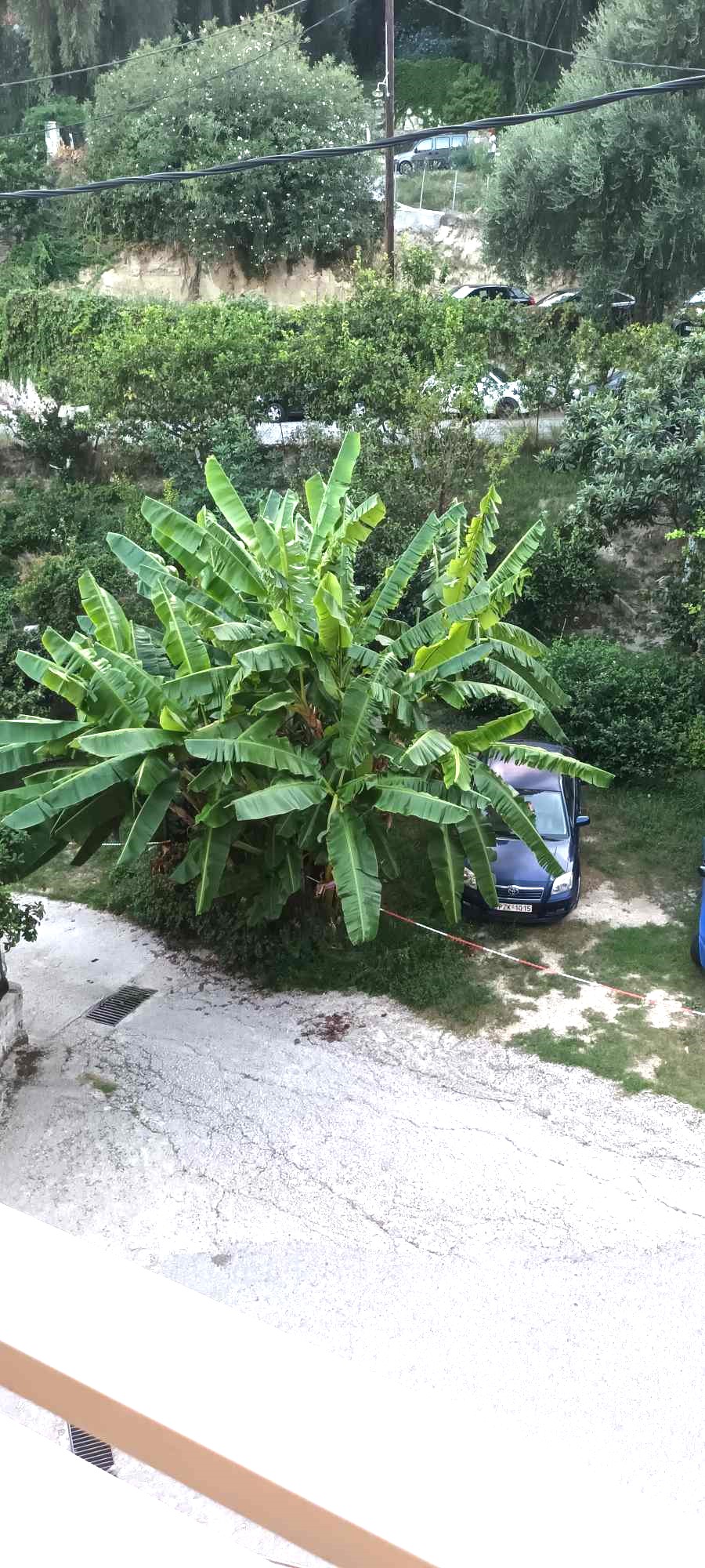 Vila Ira thumbnail 3