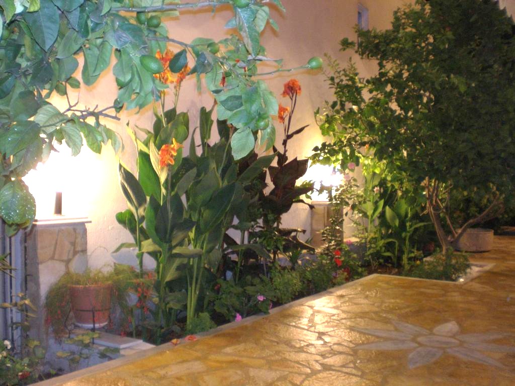 Vila Ira thumbnail 32