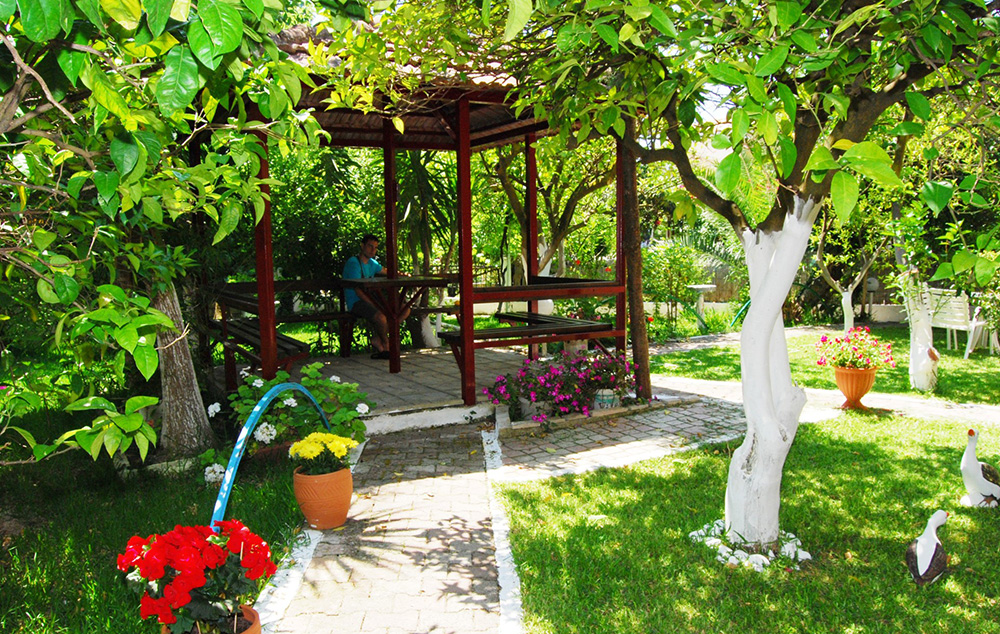 VILA LA MINUTE thumbnail 2