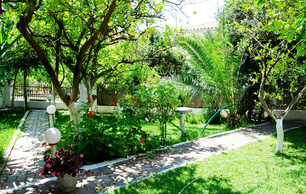 VILA LA MINUTE thumbnail 3