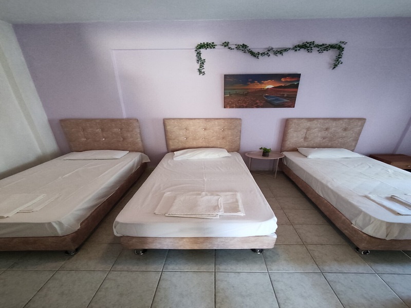 Vila Lemoni thumbnail 8