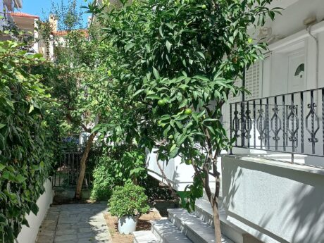 Vila Lena thumbnail 11