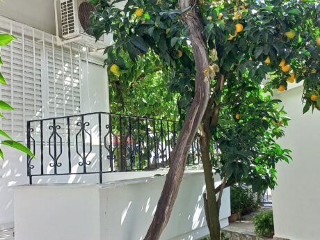 Vila Lena thumbnail 12