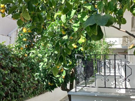 Vila Lena thumbnail 13