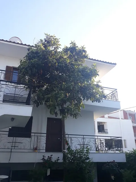 Vila Lenas Garden