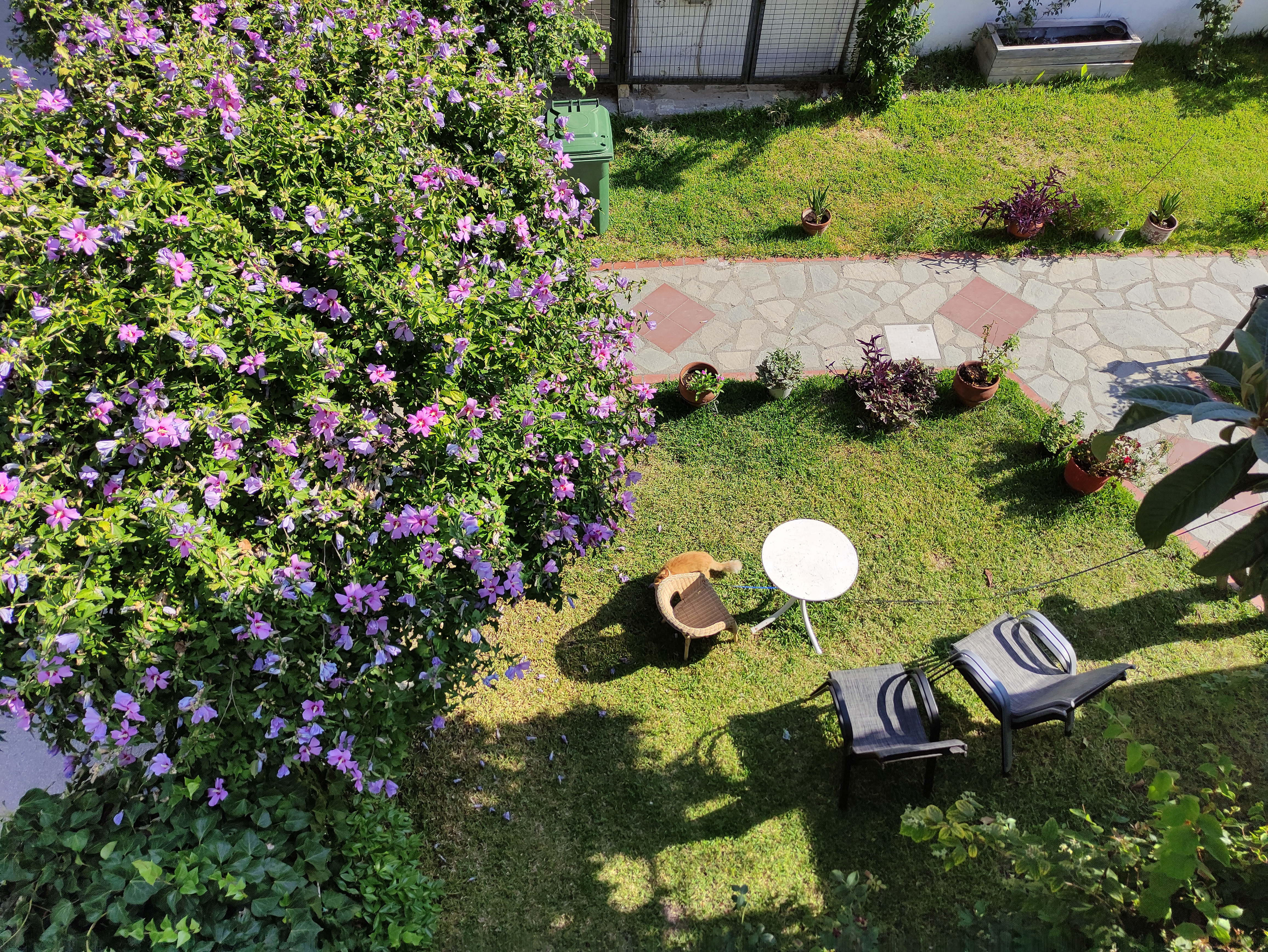 Vila Lenas Garden thumbnail 17