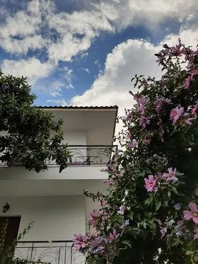 Vila Lenas Garden - 3