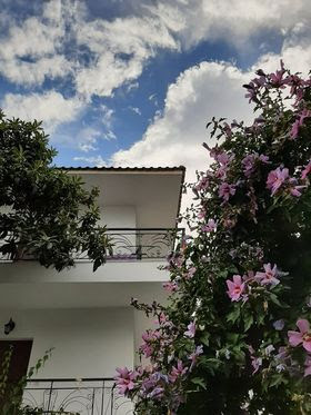 Vila Lenas Garden thumbnail 3