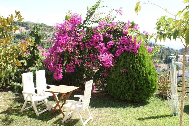 Vila Magnolia thumbnail 13