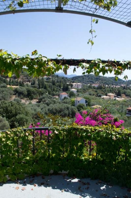 Vila Magnolia thumbnail 23