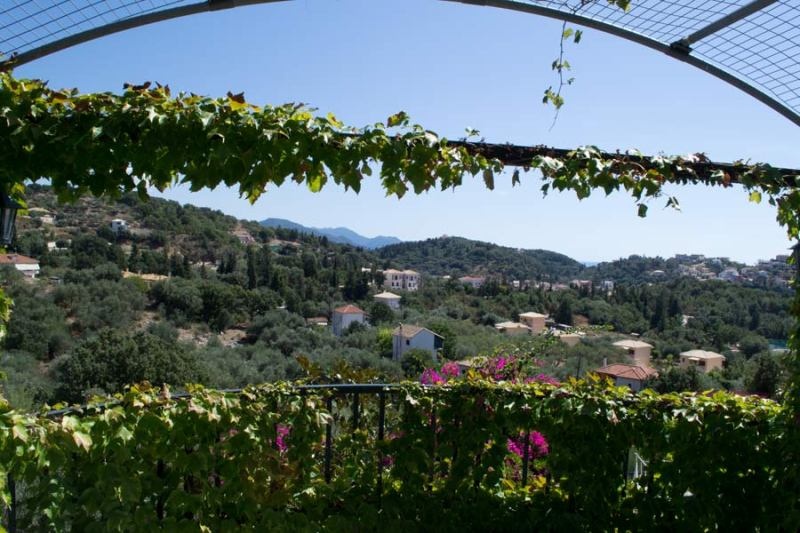 Vila Magnolia thumbnail 24