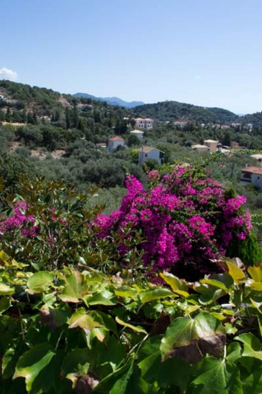 Vila Magnolia thumbnail 26