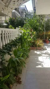 Vila Maria Lena - 3