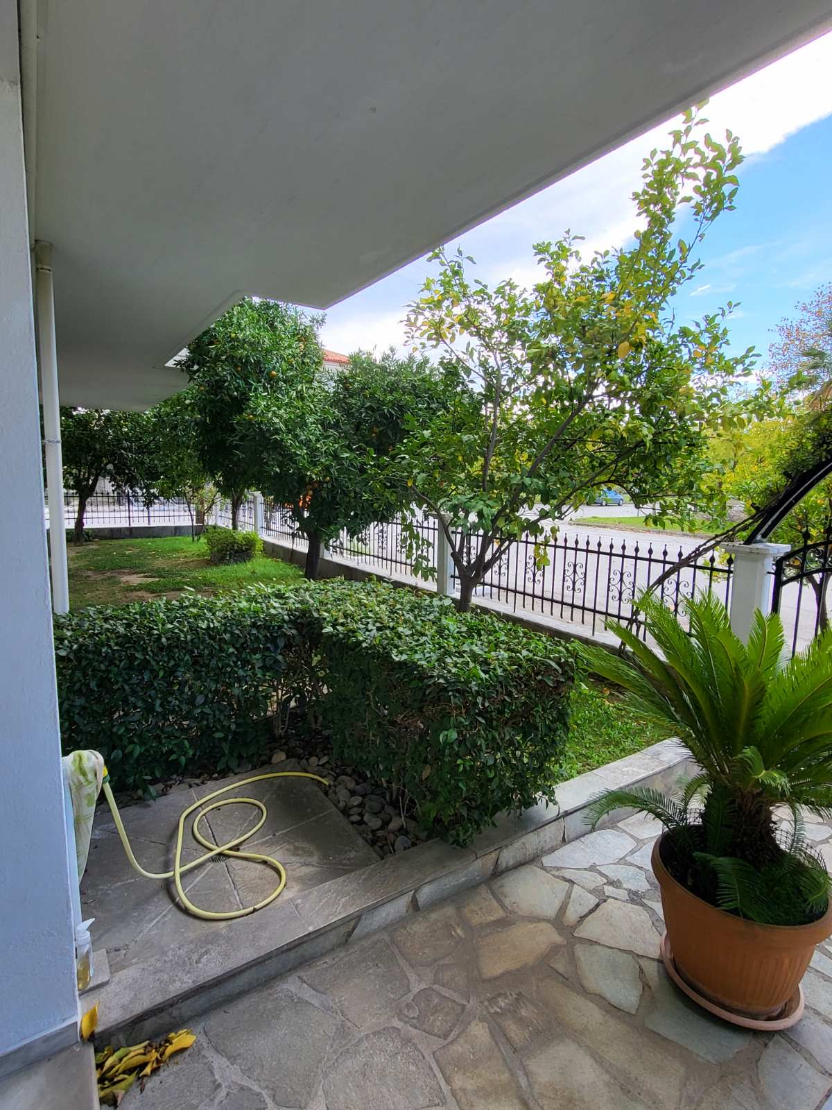 Vila Maria thumbnail 5