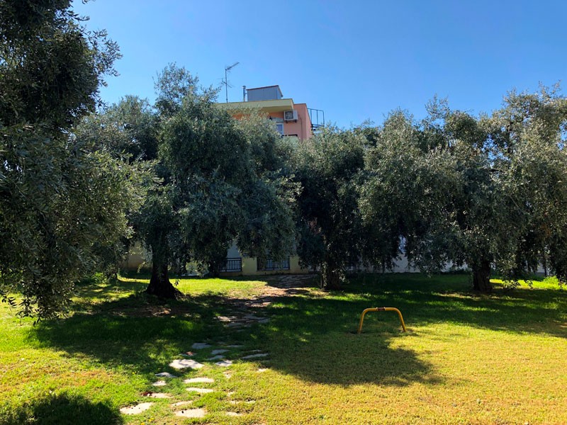 Vila Mary 2 – S. Sotiros thumbnail 16