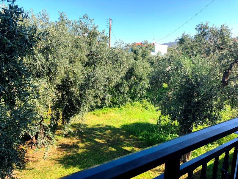 Vila Mary 2 – S. Sotiros thumbnail 17