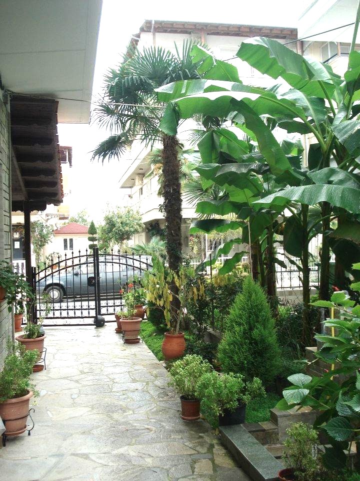 Vila Meraki thumbnail 9