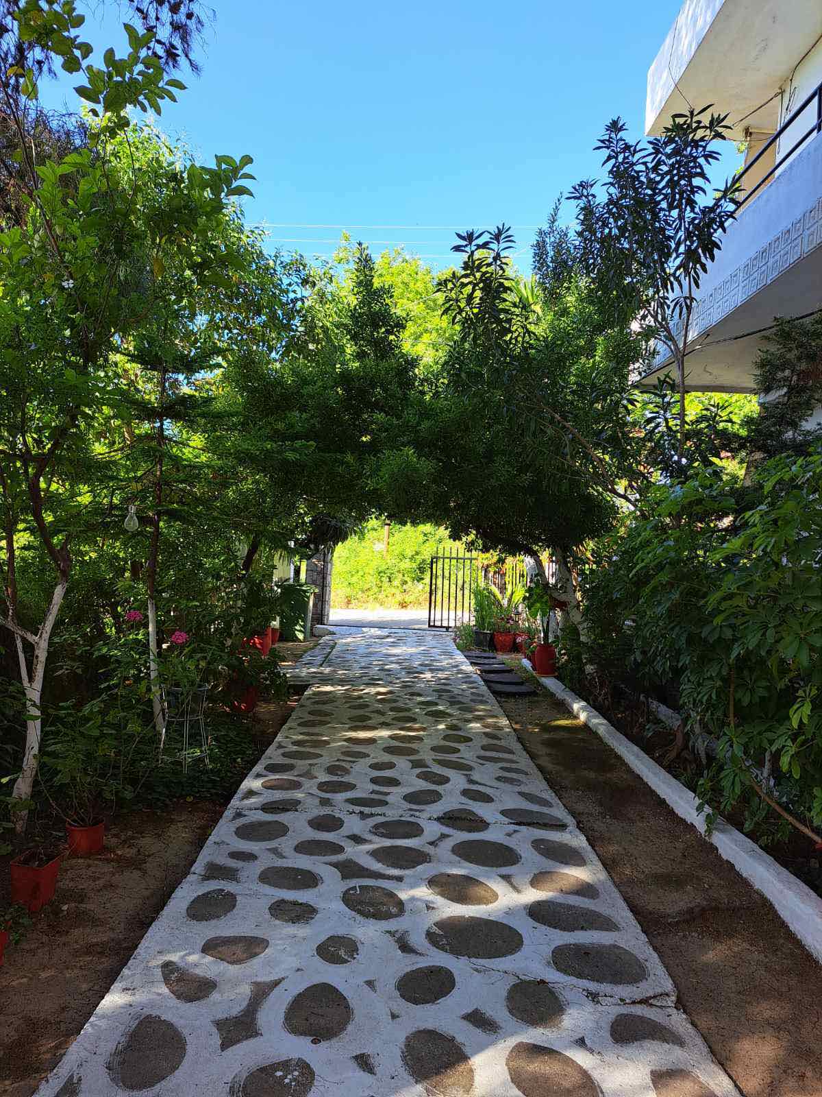 Vila Meri thumbnail 5