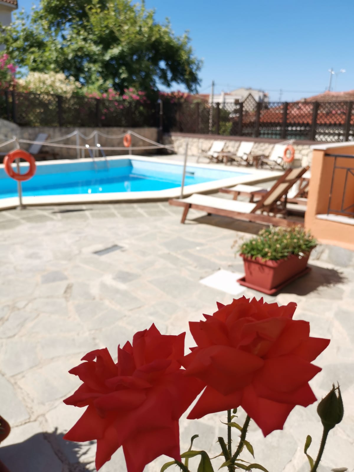 Vila Mystral thumbnail 11