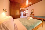 Vila Olive Tree - 2
