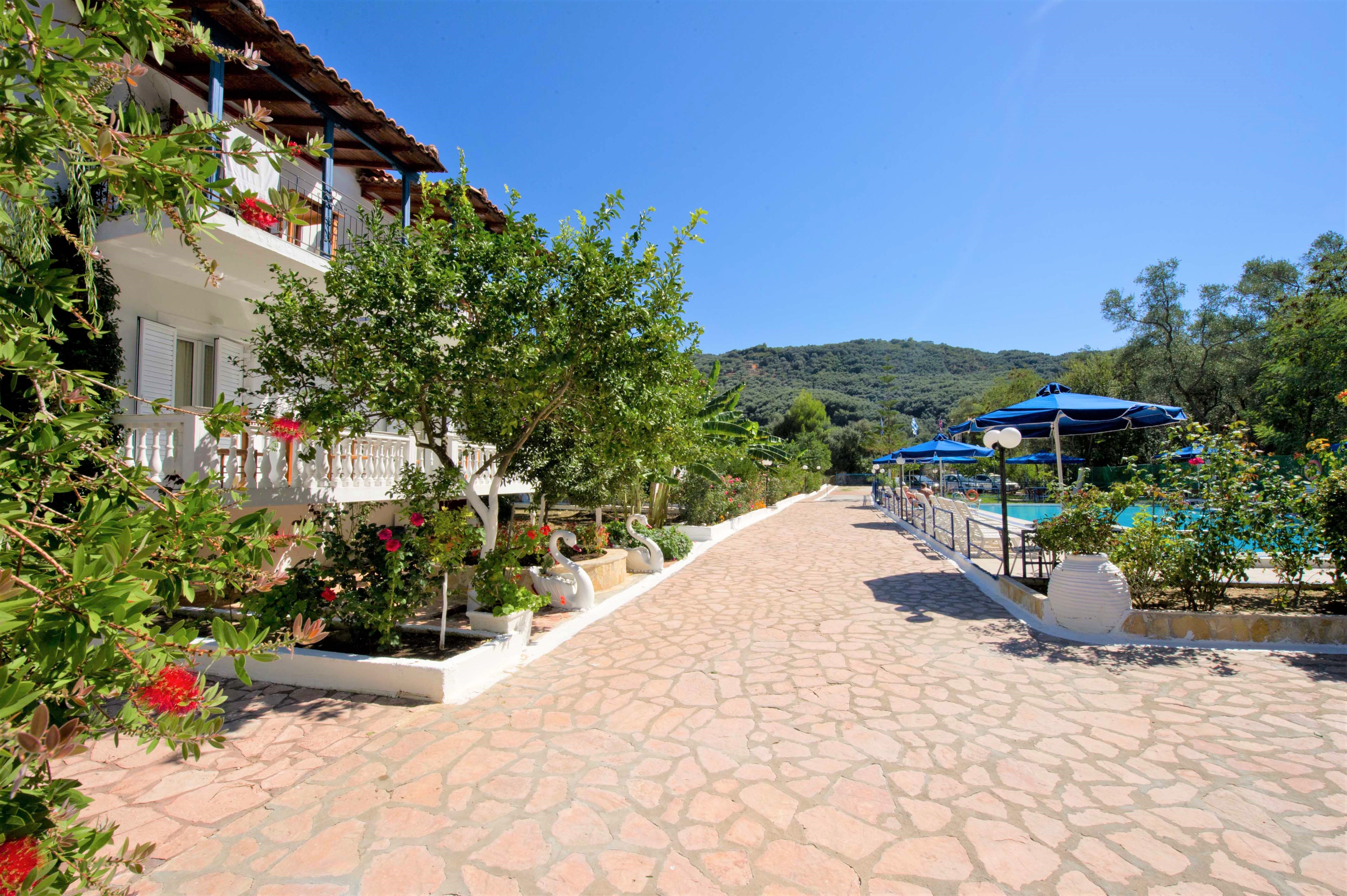 Vila Olive Tree thumbnail 10