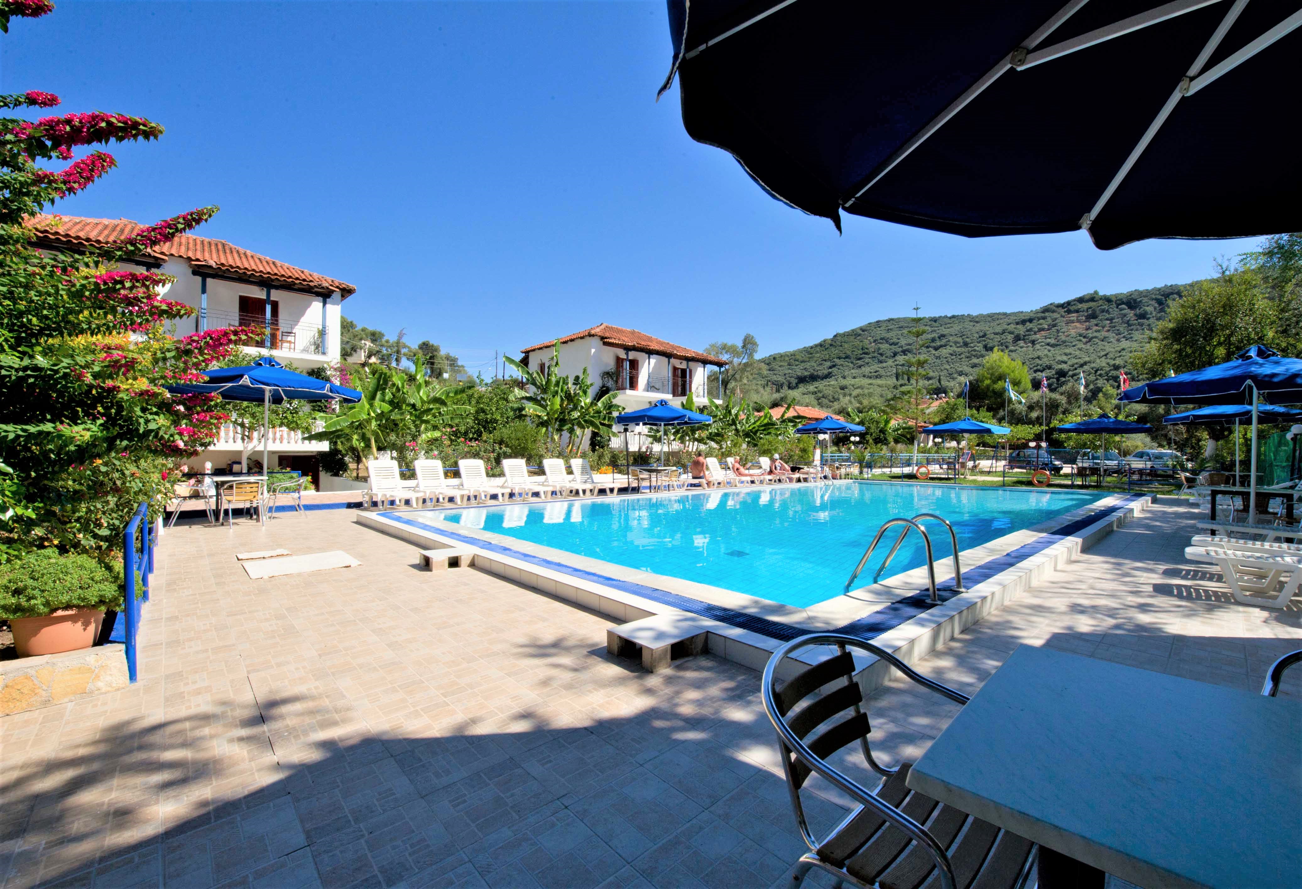 Vila Olive Tree thumbnail 11