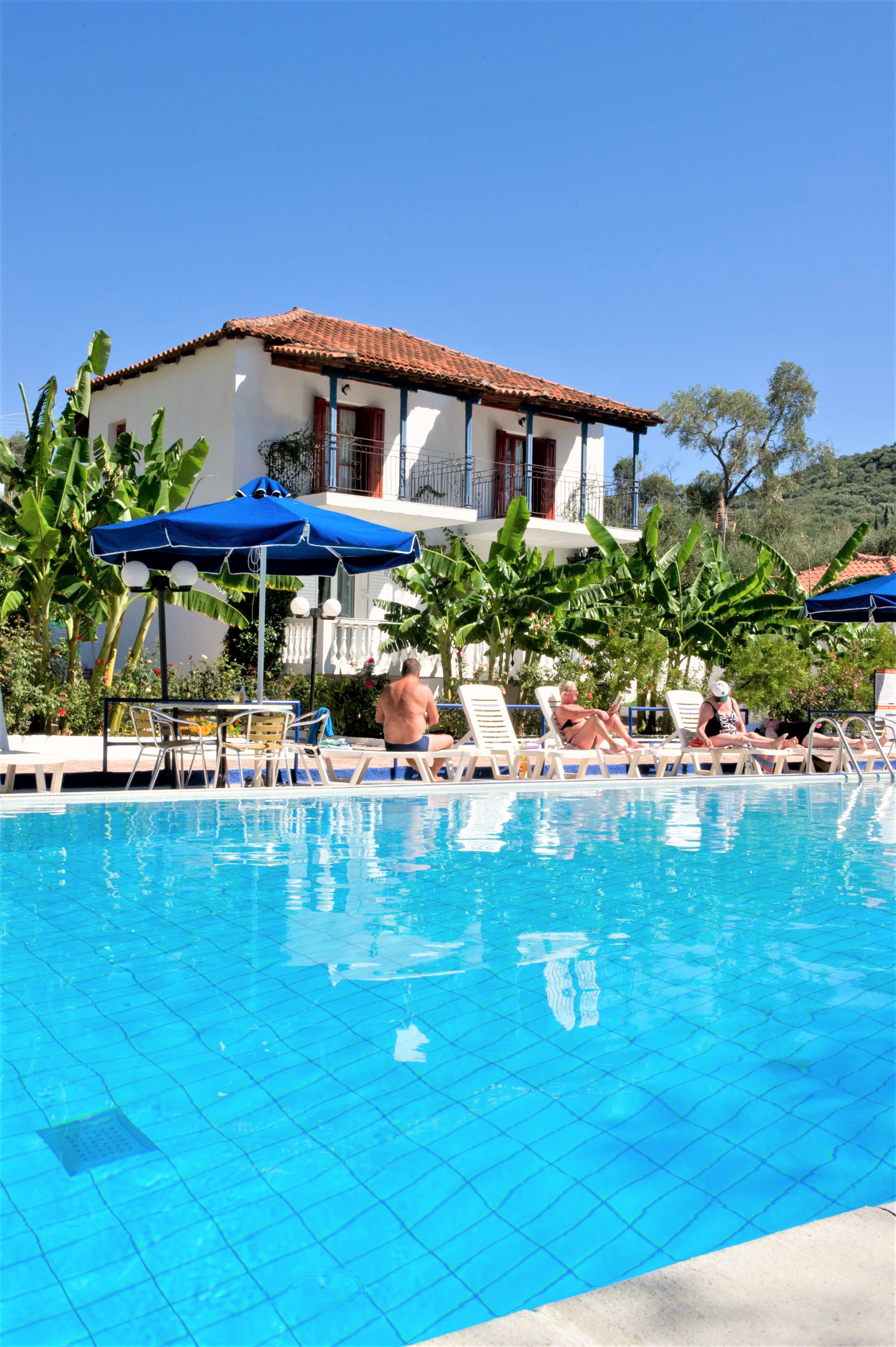 Vila Olive Tree thumbnail 14