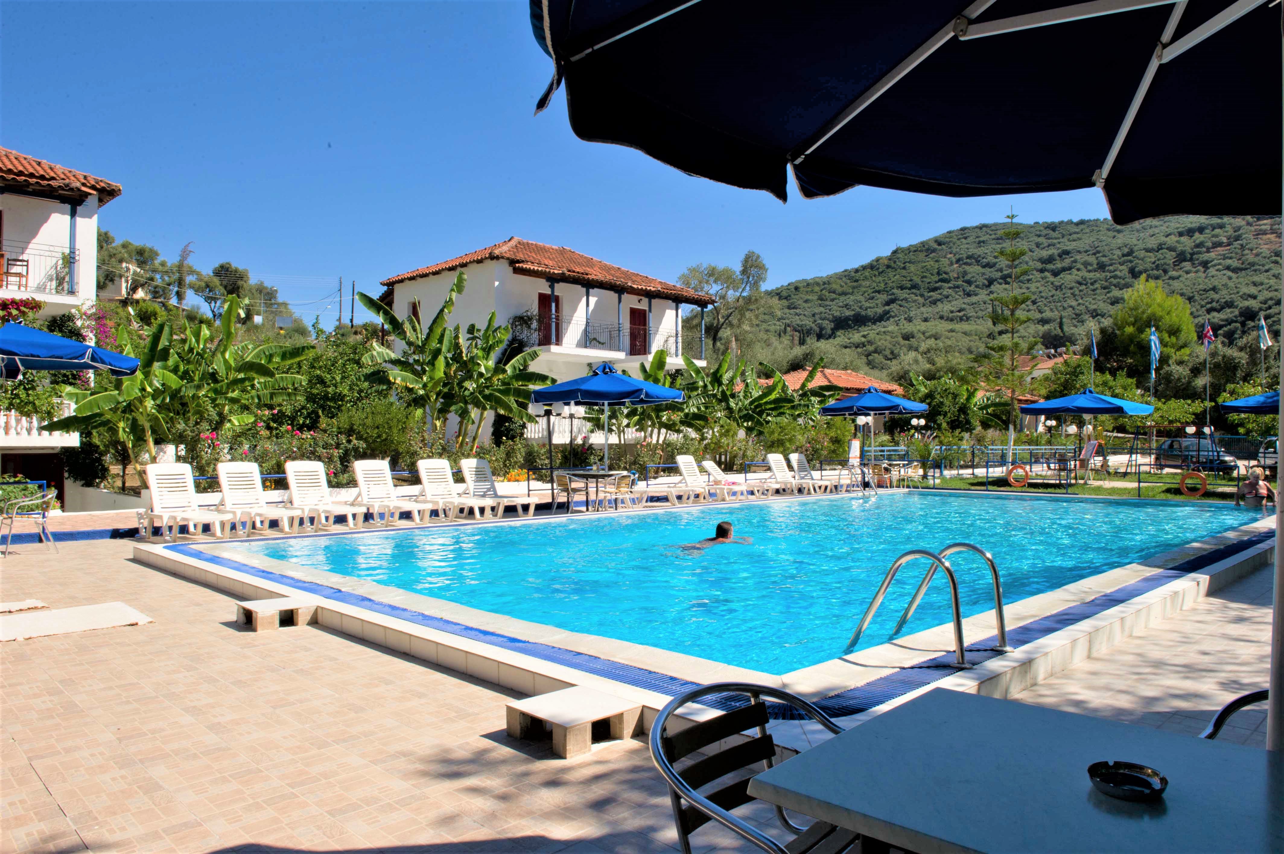 Vila Olive Tree thumbnail 16