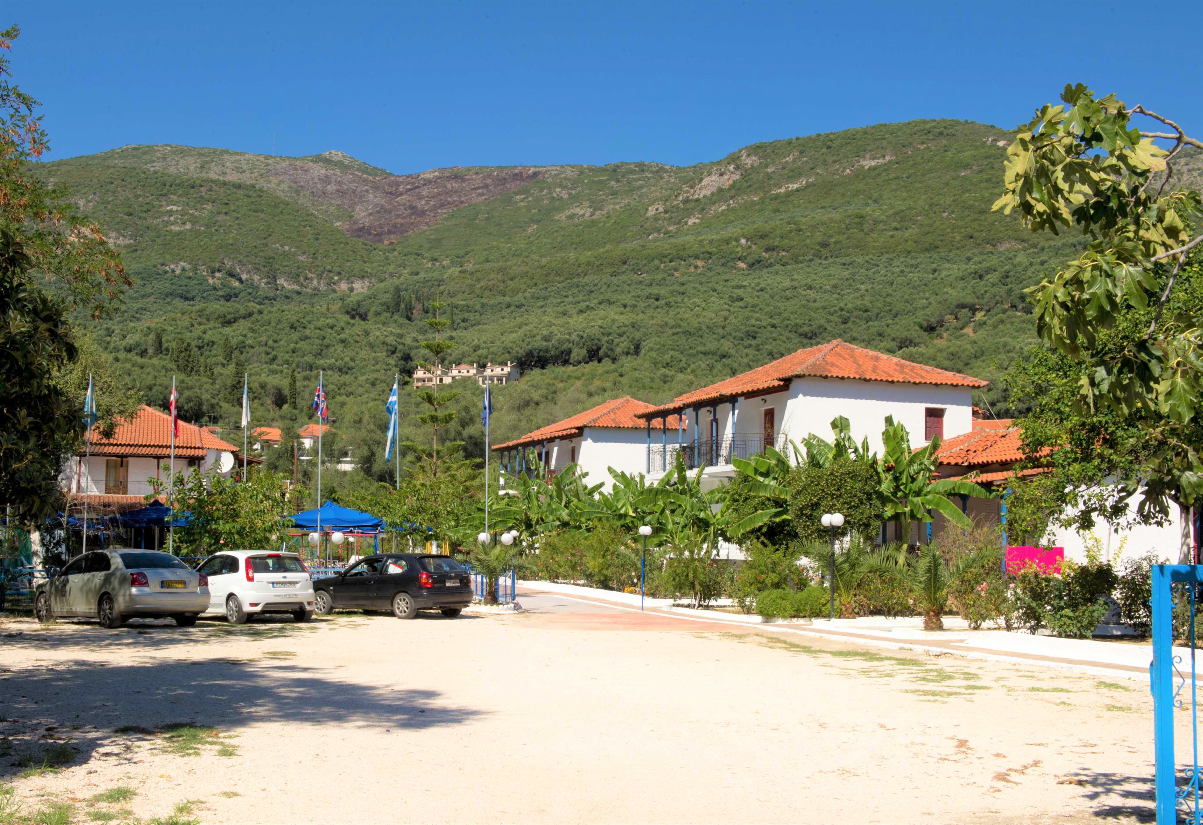 Vila Olive Tree thumbnail 17