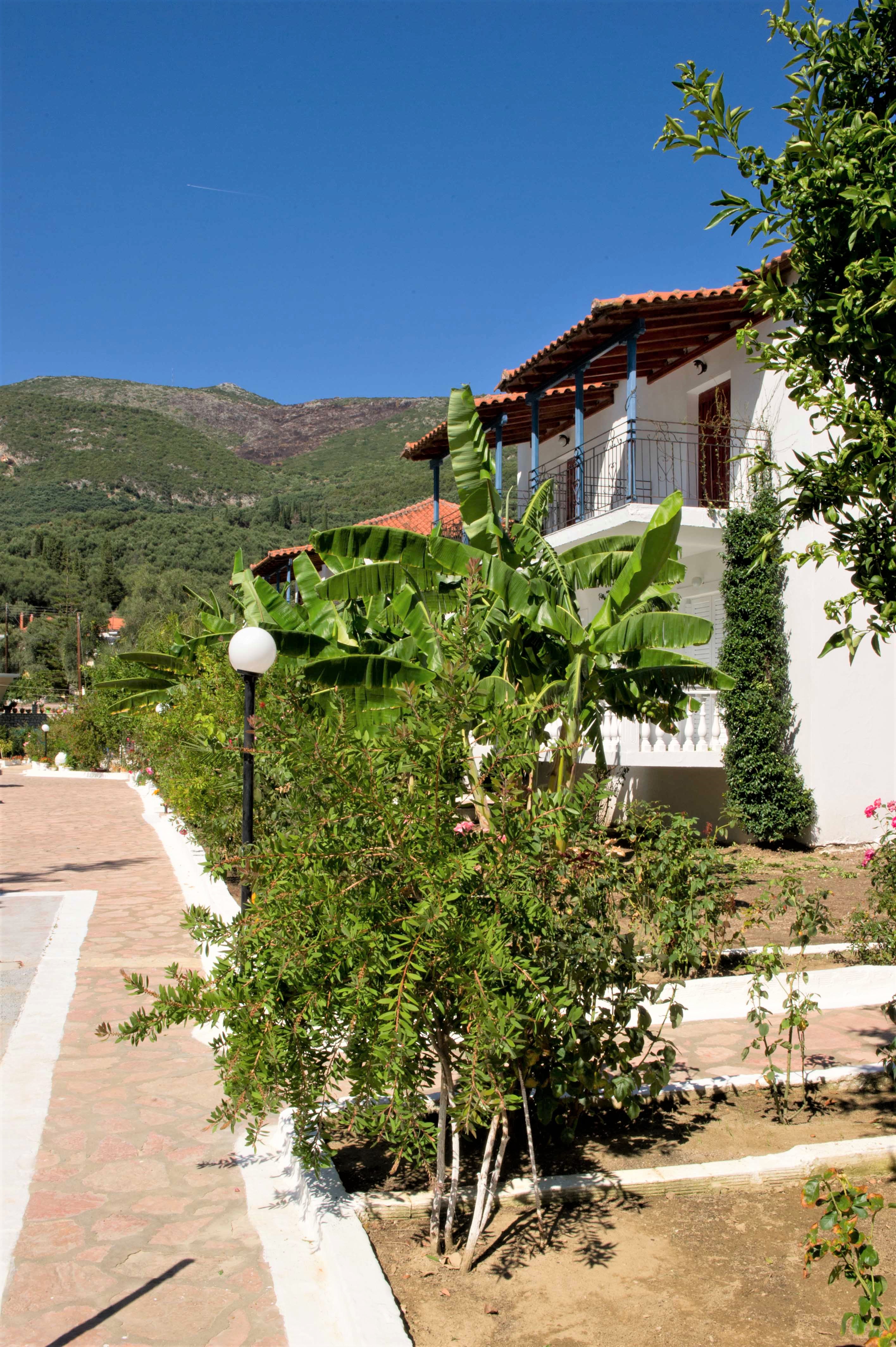 Vila Olive Tree thumbnail 18