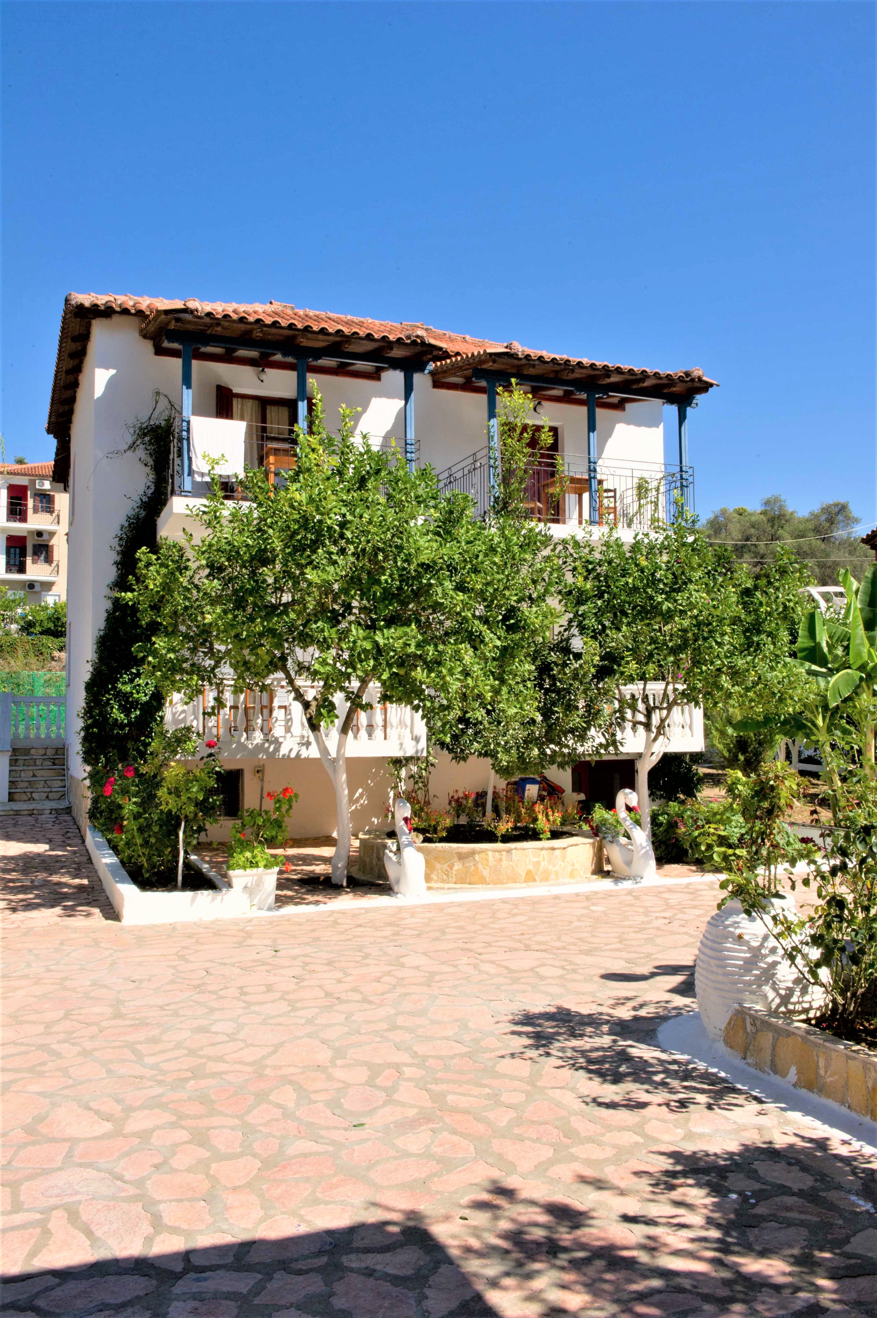 Vila Olive Tree thumbnail 19