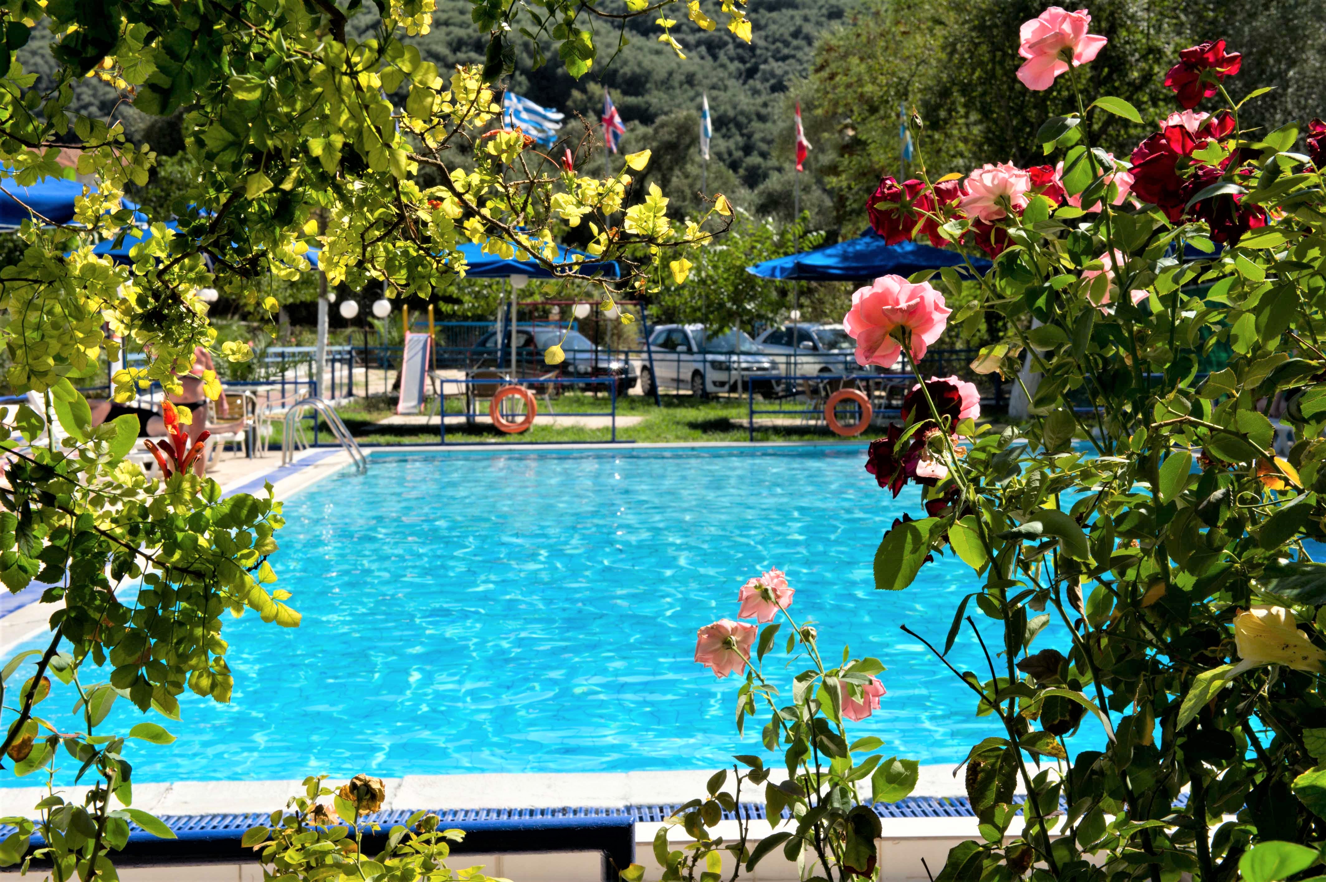 Vila Olive Tree thumbnail 20