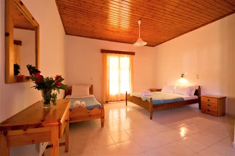Vila Olive Tree - 3
