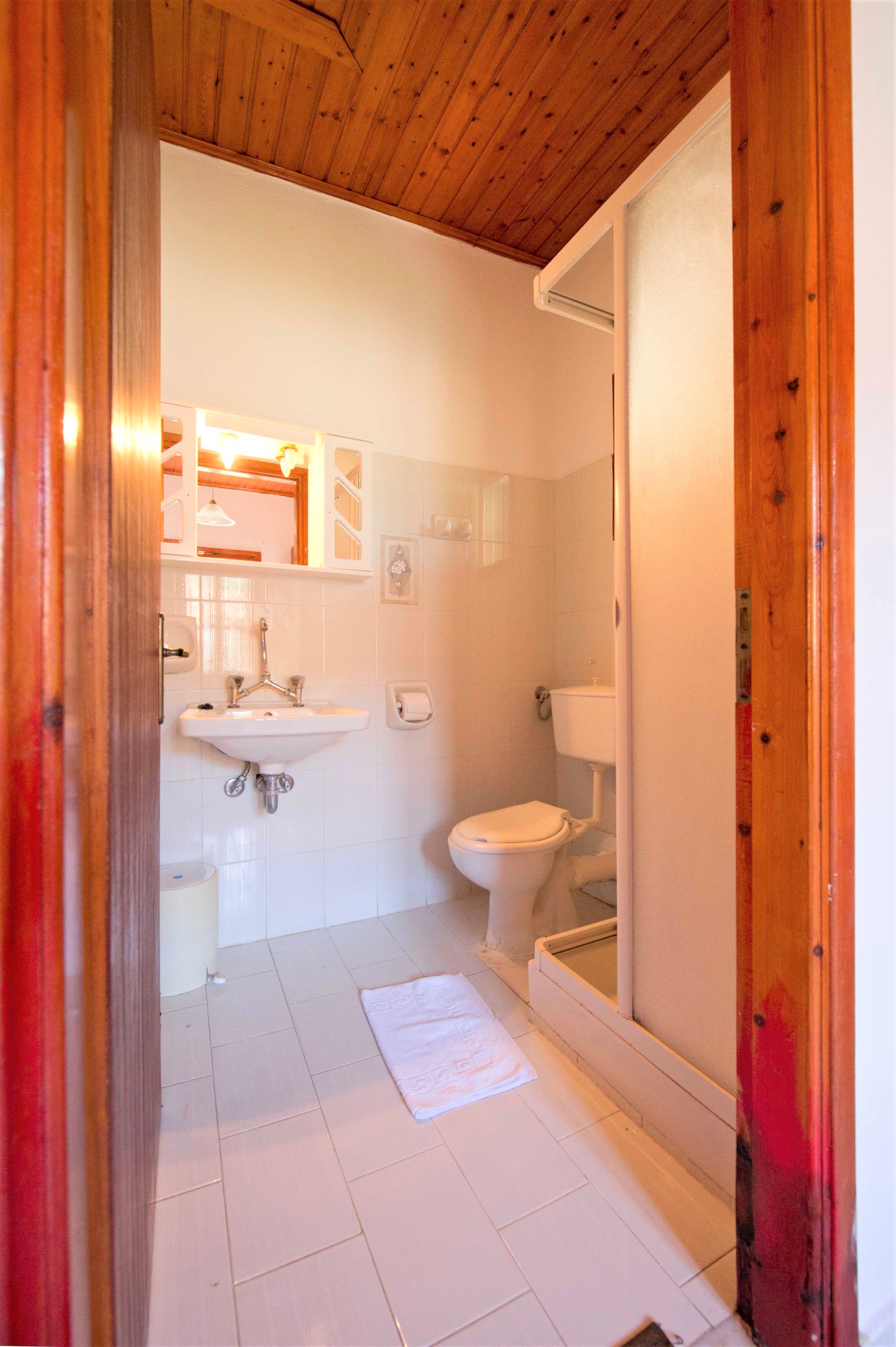 Vila Olive Tree thumbnail 4