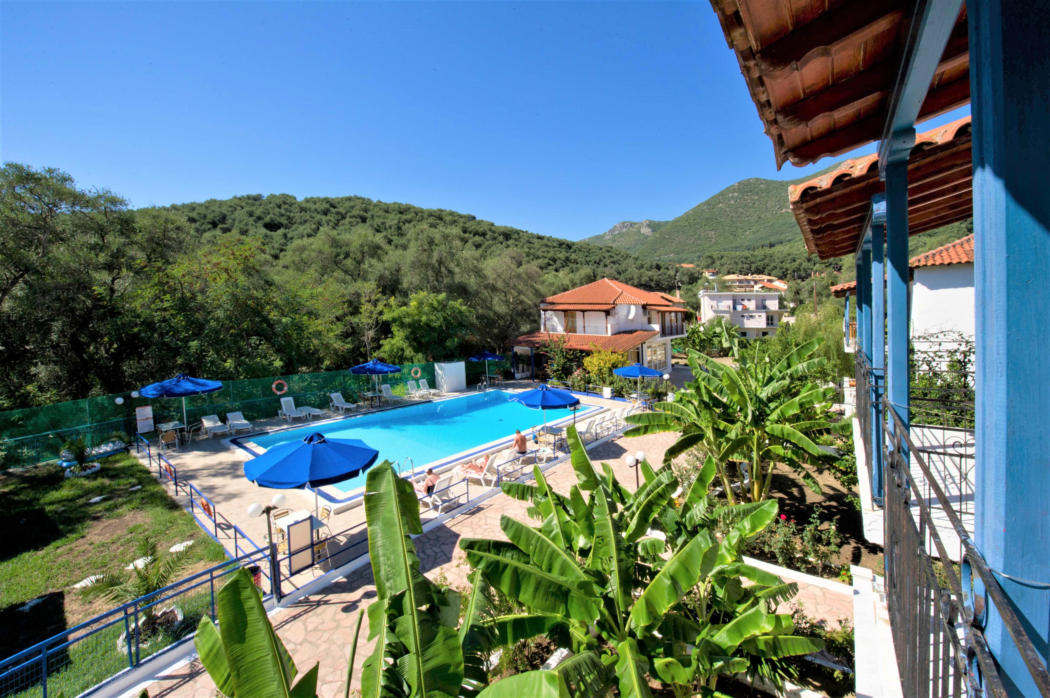 Vila Olive Tree thumbnail 9