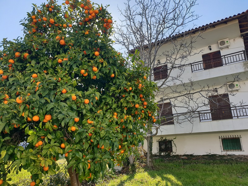 Vila Palma 2 thumbnail 7