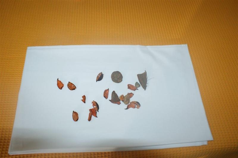 Vila Panajotis thumbnail 16