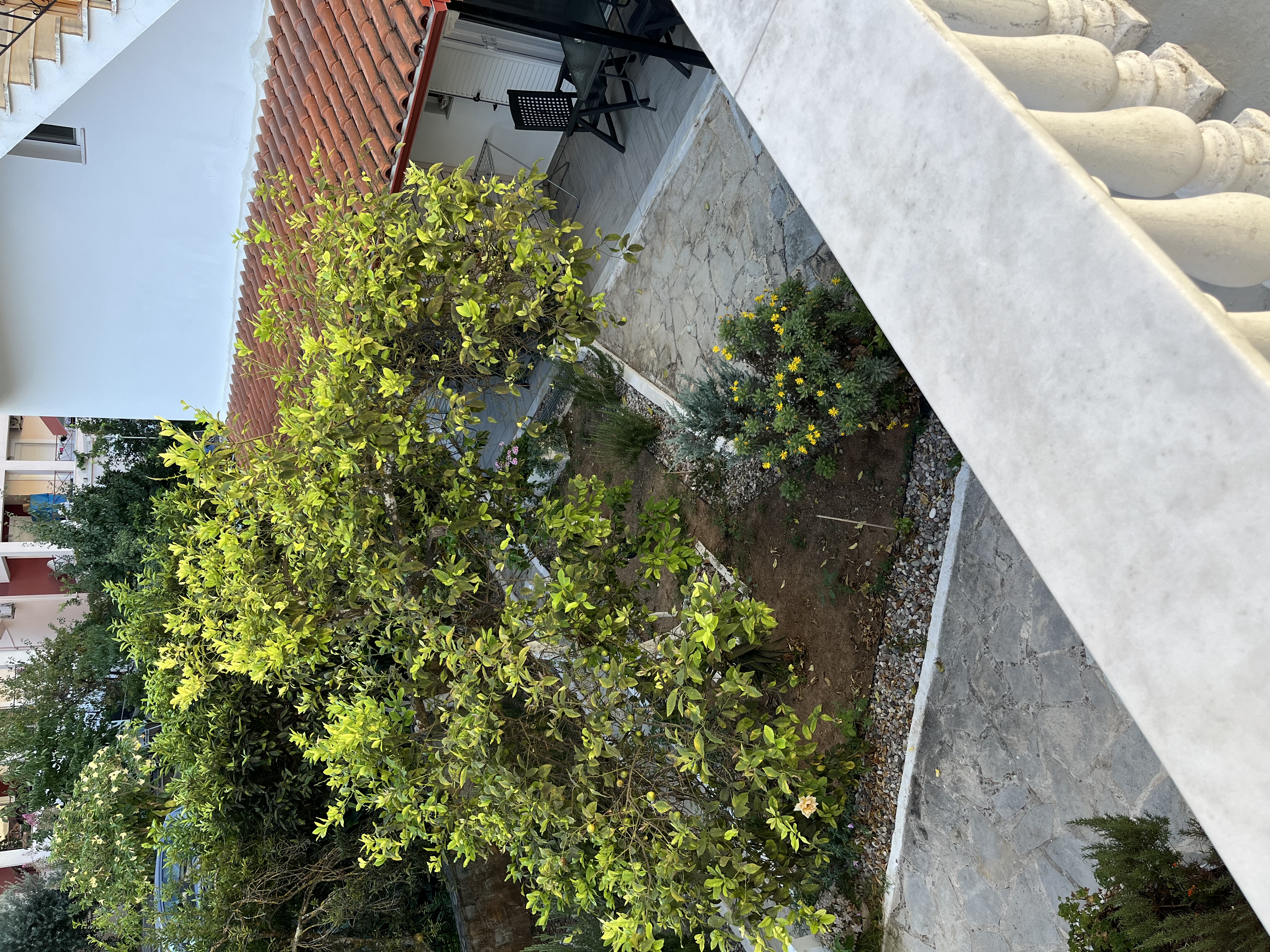 Vila Pappas thumbnail 8