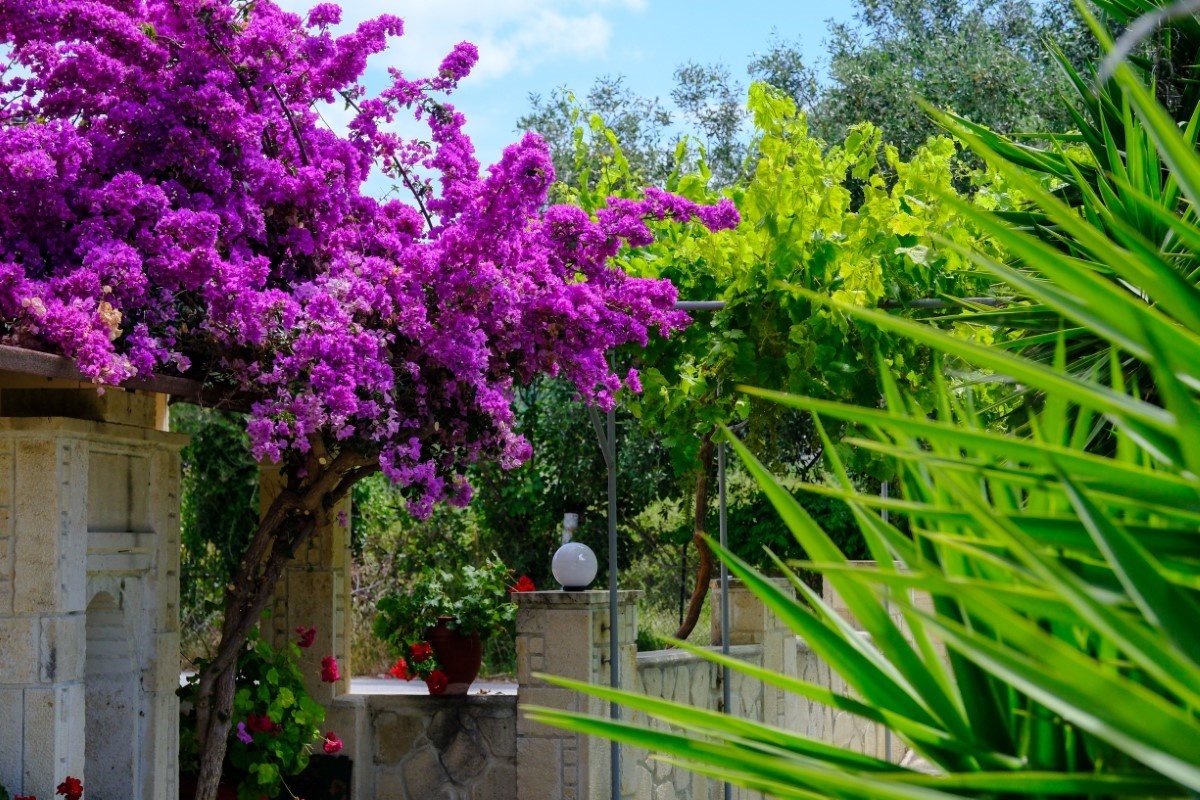 Vila Paradise thumbnail 21