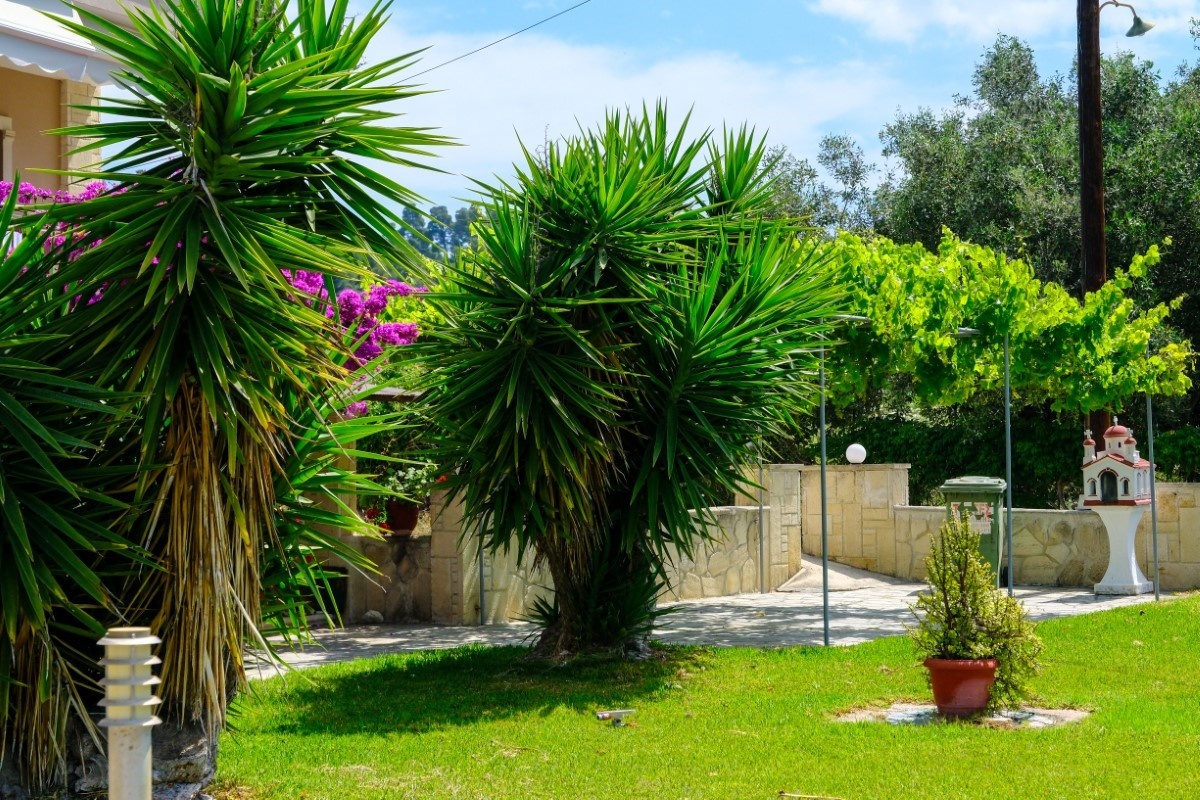 Vila Paradise thumbnail 24