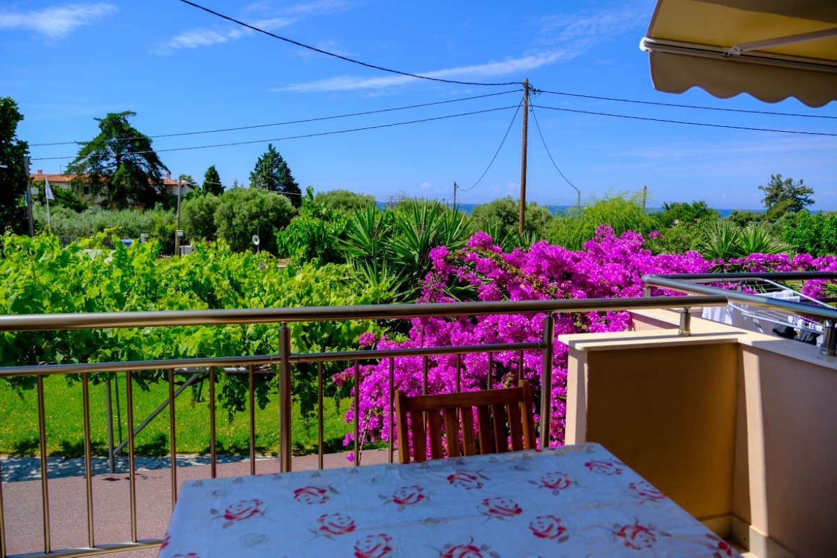 Vila Paradise thumbnail 5