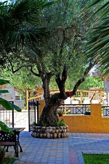 Vila Partenis thumbnail 10