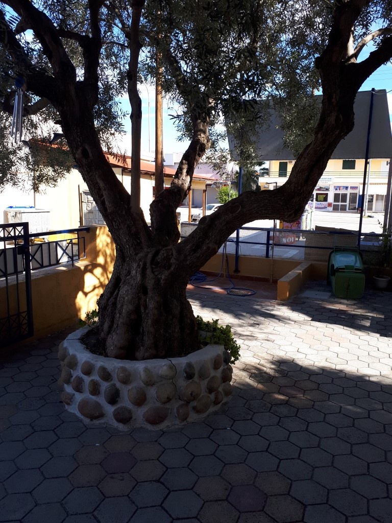 Vila Partenis thumbnail 11