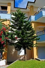 Vila Partenis - 6